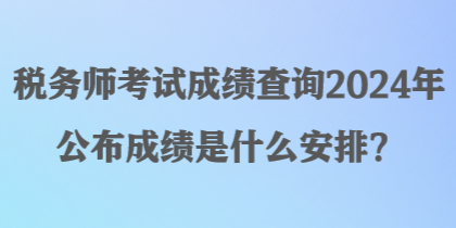 稅務(wù)師考試成績(jī)查詢(xún)2024年公布成績(jī)是什么安排？