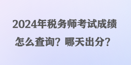 2024年稅務(wù)師考試成績怎么查詢？哪天出分？